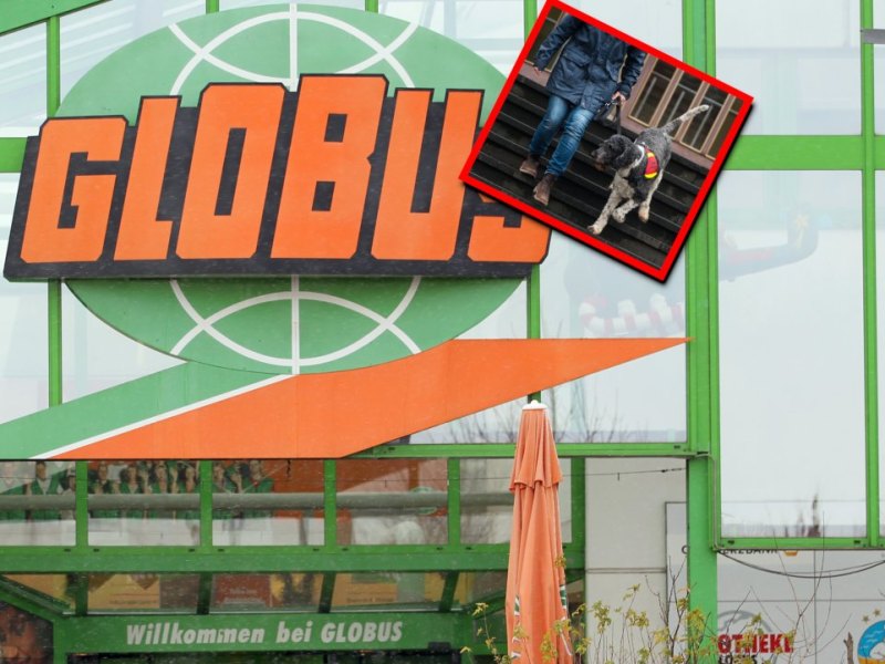 globus hund.jpg
