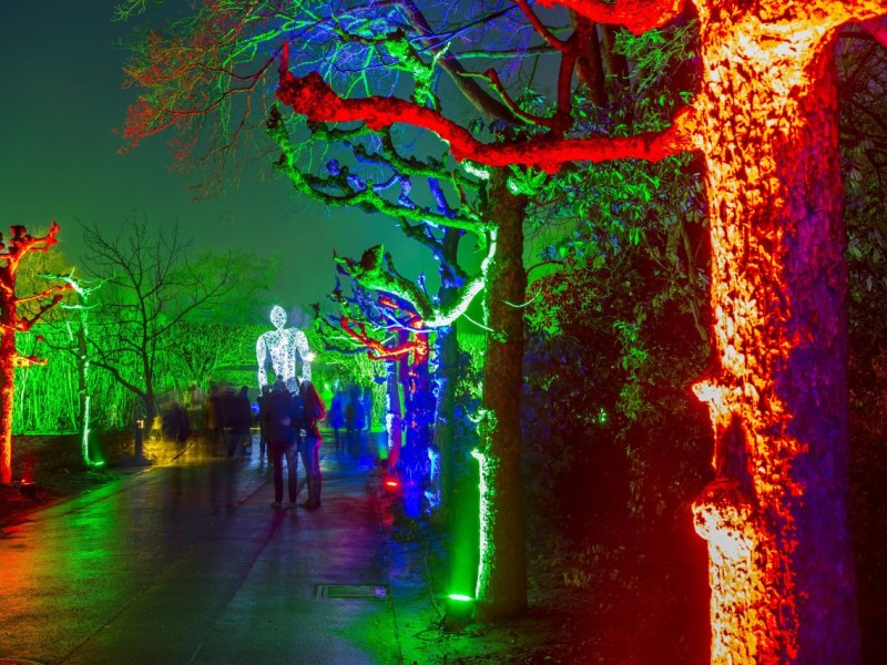 grugapark essen.jpg