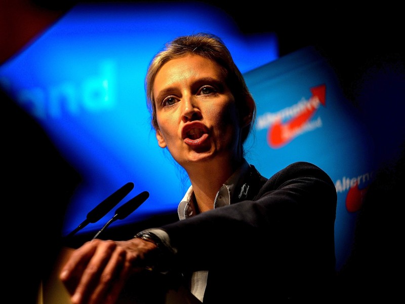 Alice Weidel wurde im April 2017 auf dem AfD-Bundesparteitag in Köln mit 67,7 Prozent der Stimmen zur Spitzenkandidatin gewählt. 