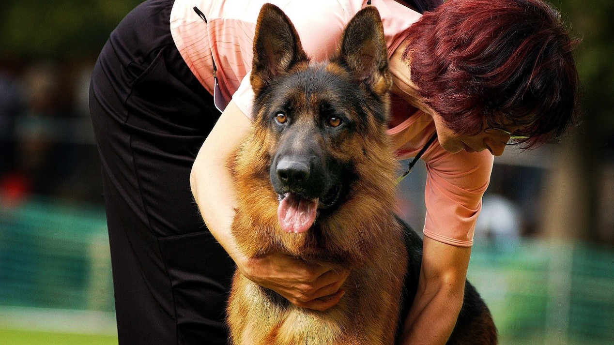 Der Hund ist der beste Freund des Menschen - wie diese rührende Story mal wieder beweist.