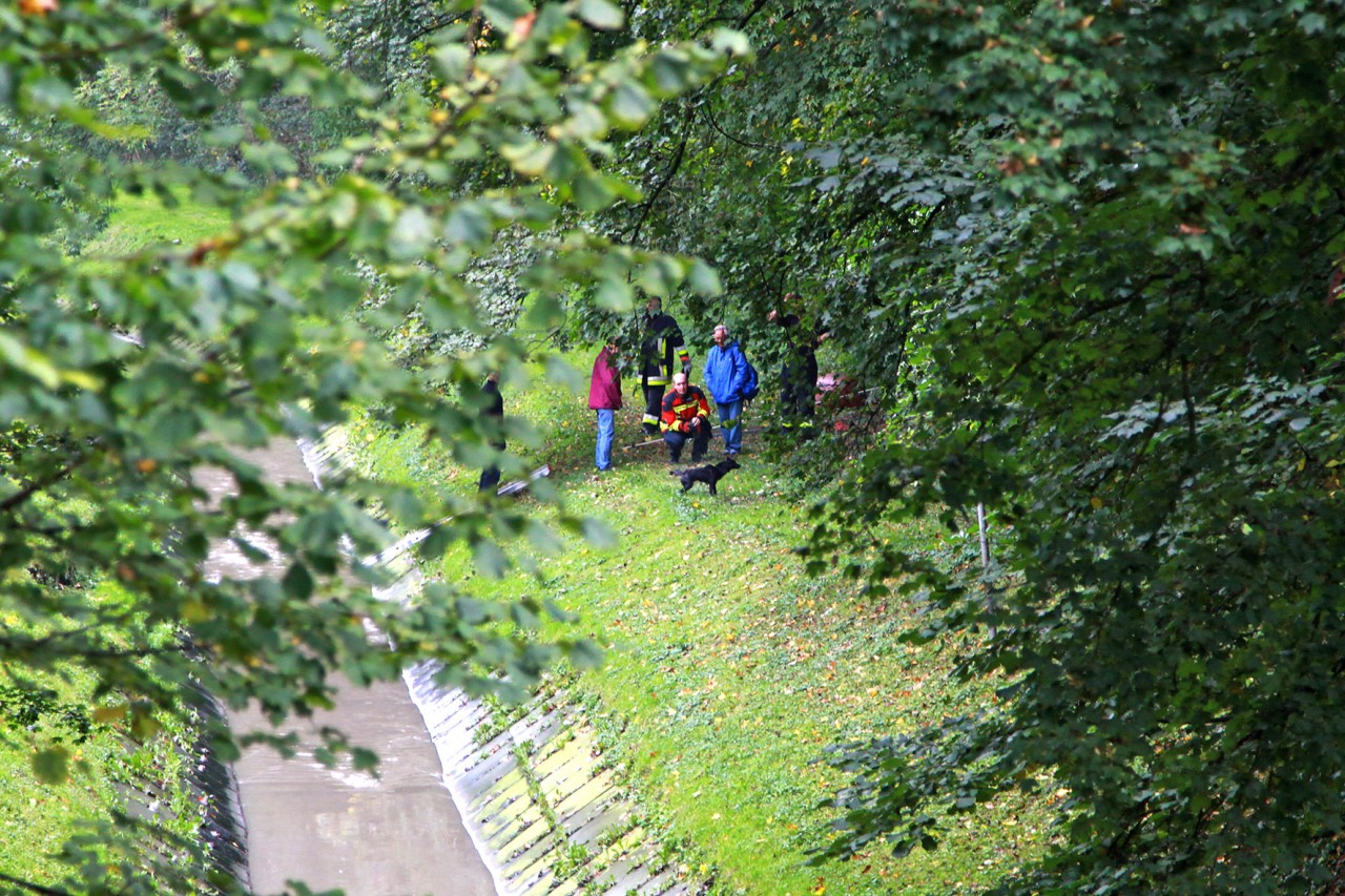 Nach der Rettung aus dem Fluss musste sich der unterkühlte Mischling erstmal schütteln.