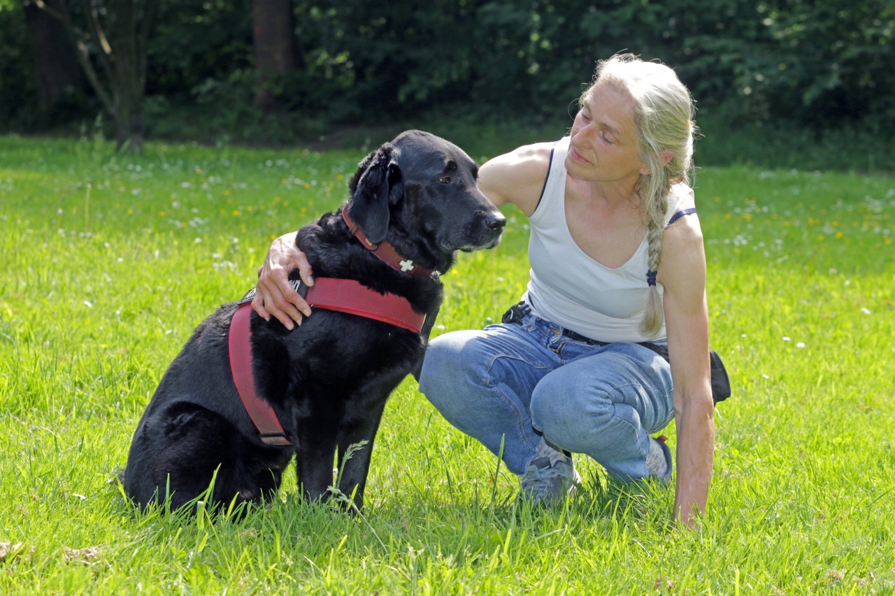 Rückruf bei „Fressnapf“! Ein bestimmtes Produkt könnte deinen Hund krank machen. (Symbolbild)