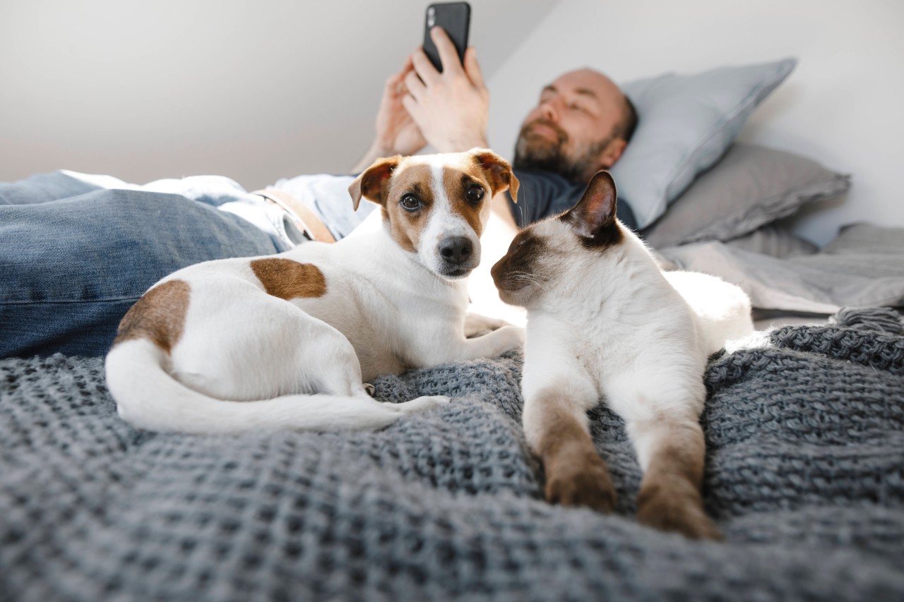 Hund und Katze sind die beliebtesten Haustiere der Deutschen. (Symbolbild)