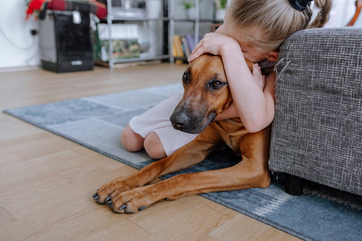 hund-mädchen.jpg