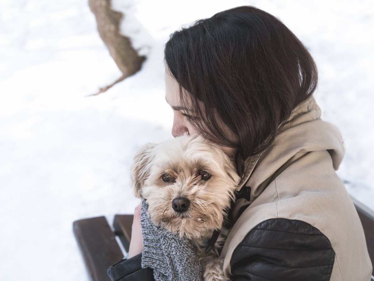 hund schnee.jpg