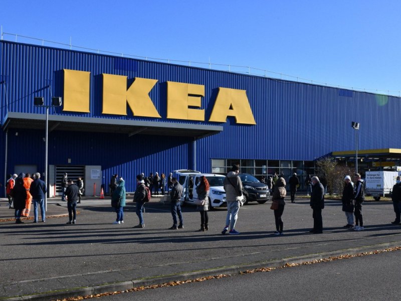 ikea-blahaj-brunbjörn