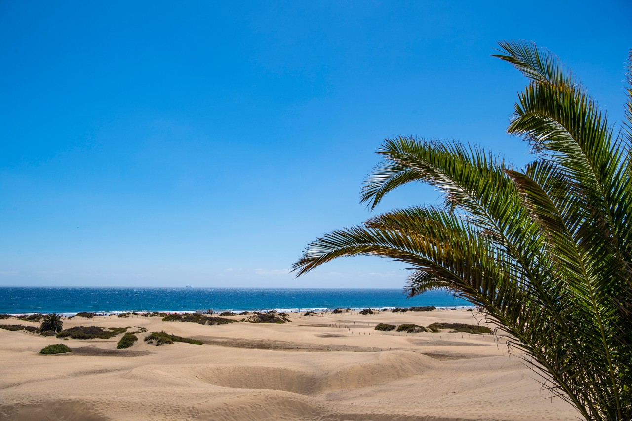 In den Dünen von Maspalomas randalieren die Touristen. (Symbolbild)