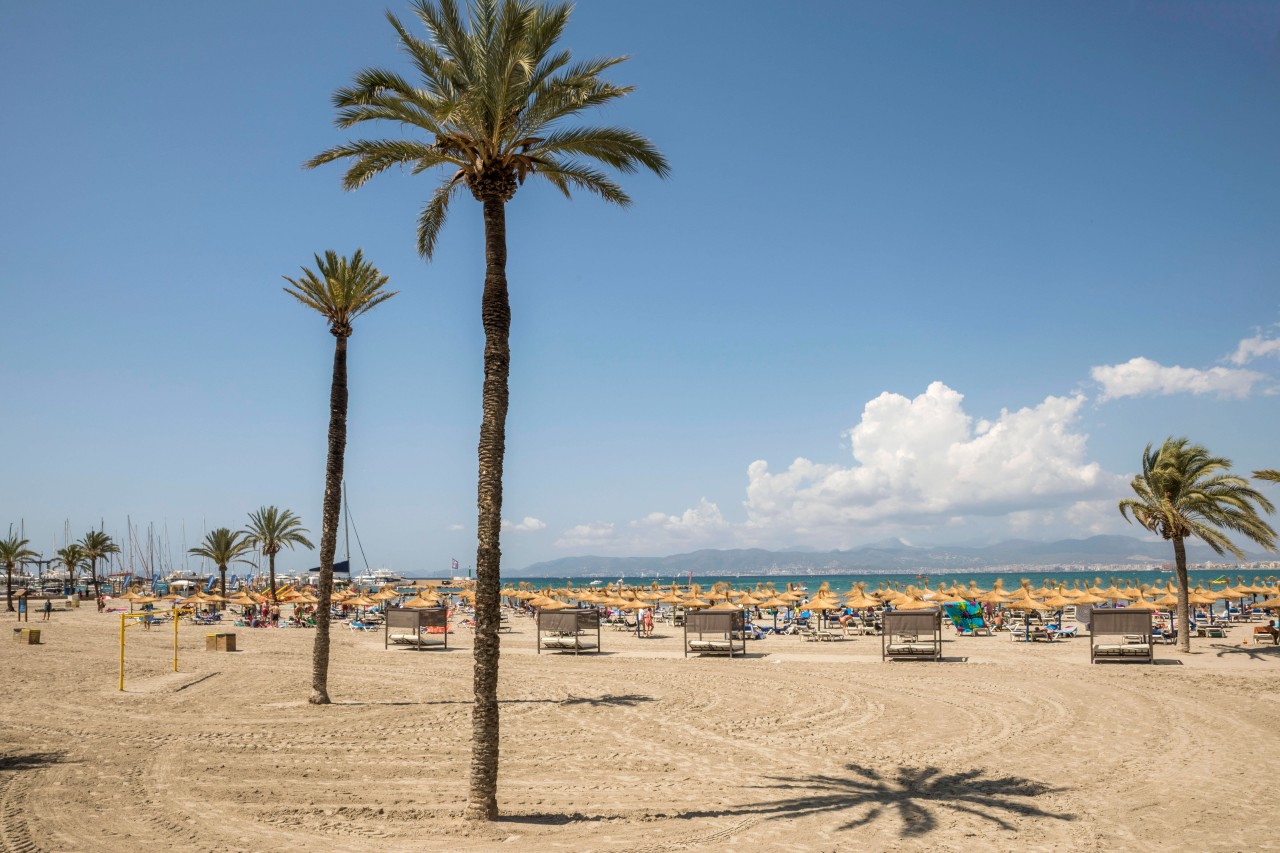 Vor der Küste von Mallorca wurde eine Leiche gesichtet! (Symbolbild)