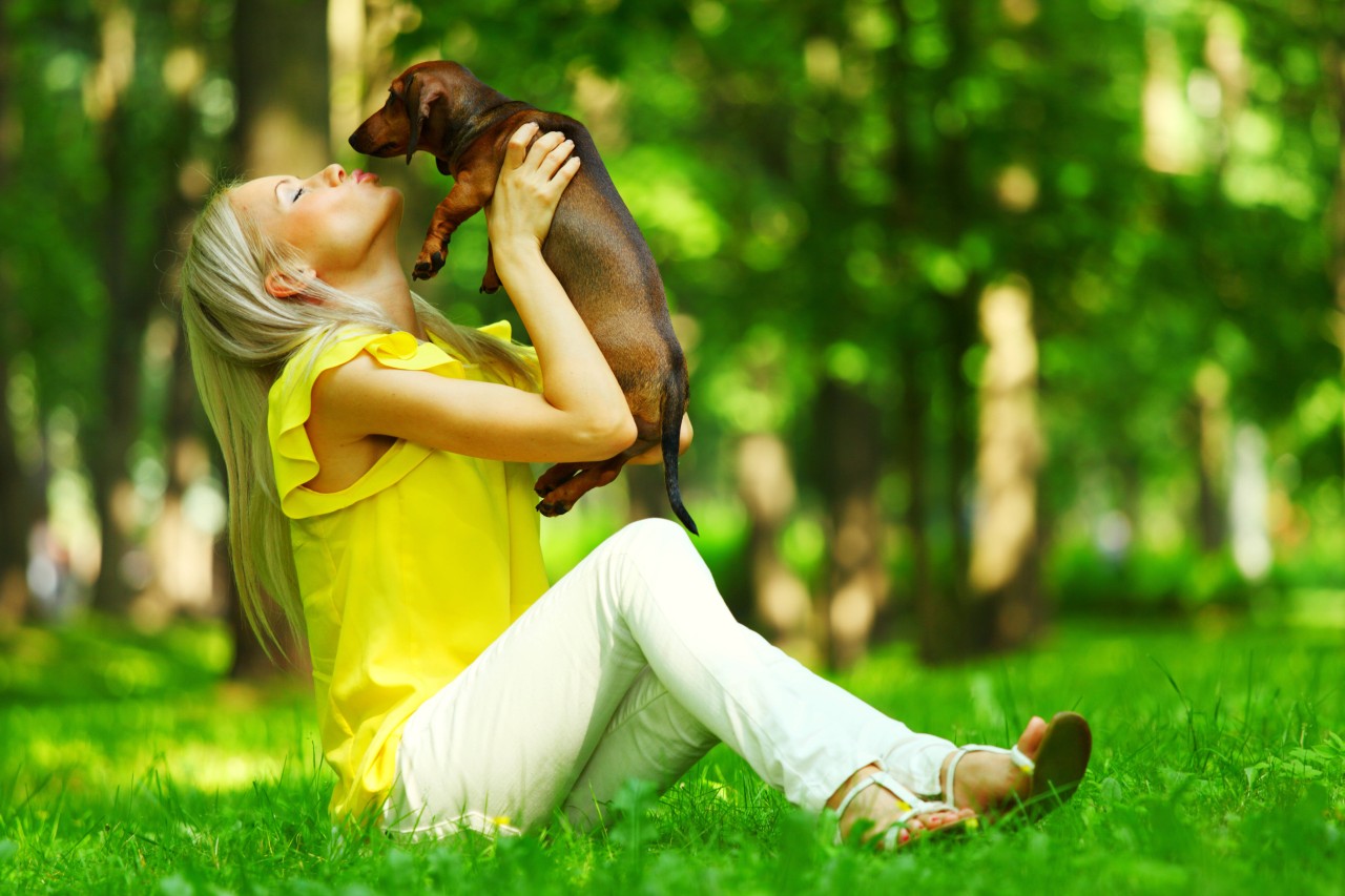 Dass ihr Hund ständig in den Spiegel des Schrankes schaut, macht die Frau stutzig. (Symbolfoto)