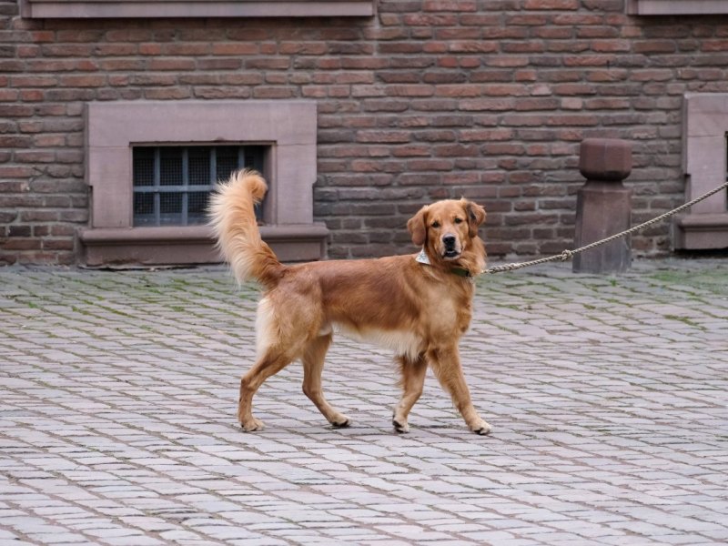 imago0147764278h.jpg