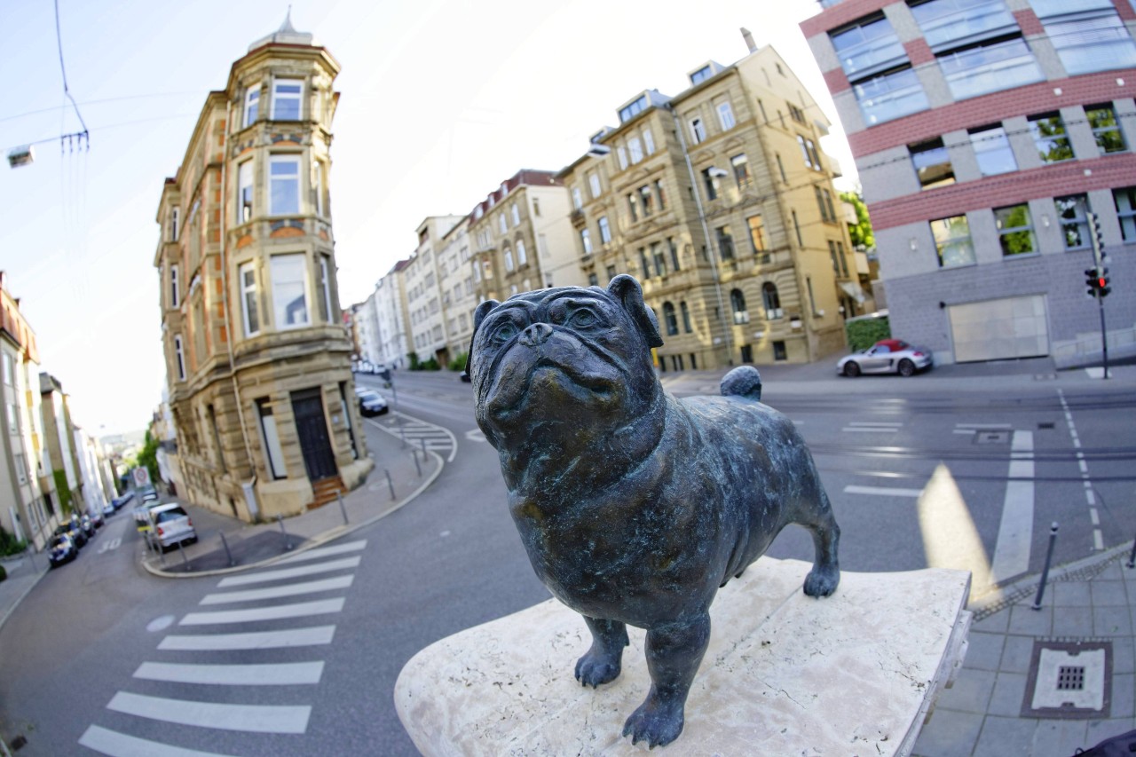 Am Eugensplatz in Stuttgart erinnert ein Bronze-Mops an den Humoristen Loriot (1923 - 2011). Vicco von Bülow ging in Stuttgart zur Schule und startete auch hier seine Fernsehkarriere. 