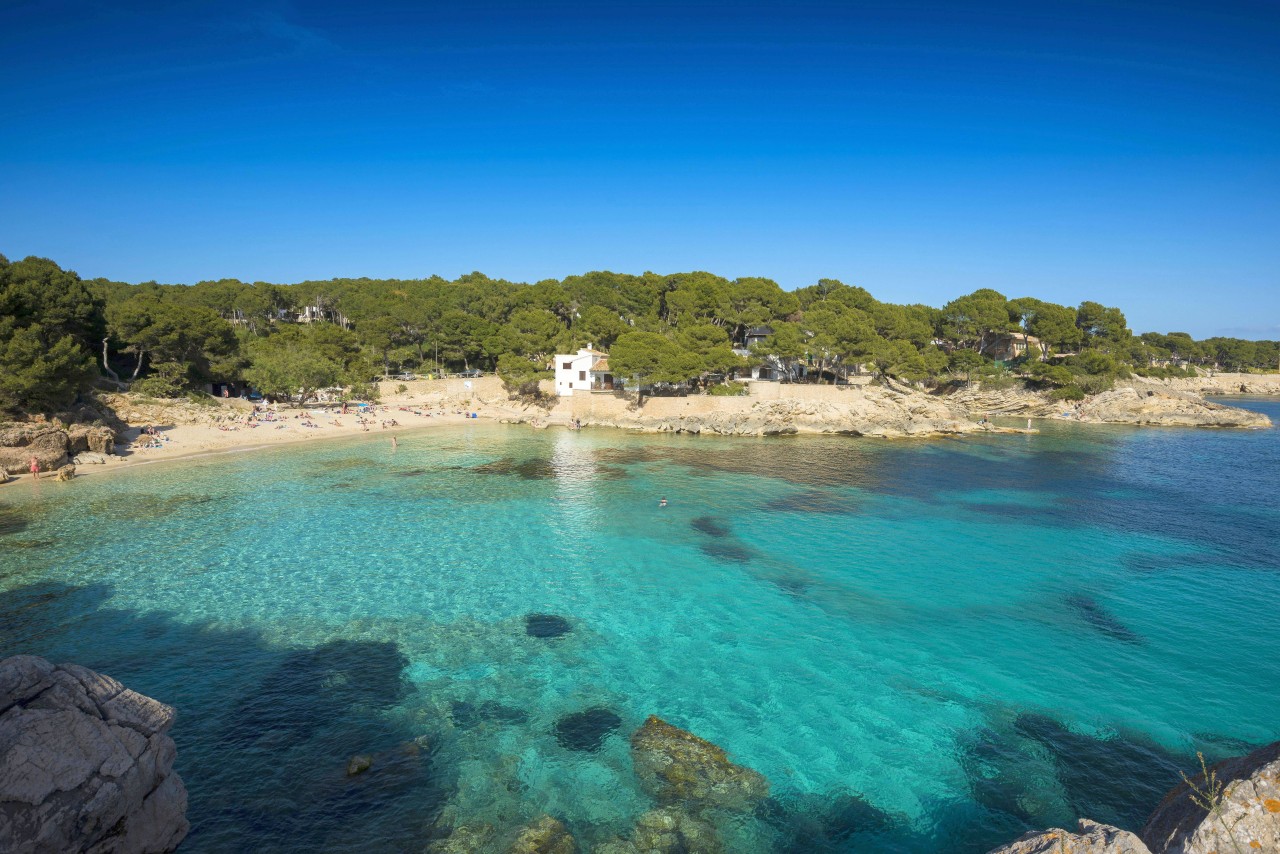 Die Traumstrände von Cala Ratjada.