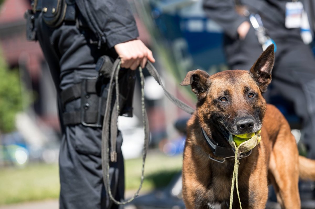 karlsruhe-polizeihund.jpg