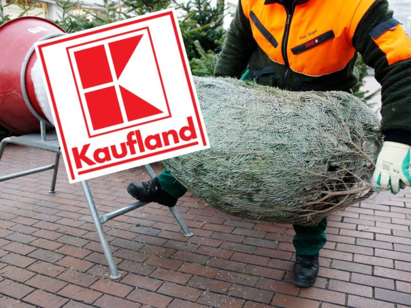 kaufland-weihnachtsbäume