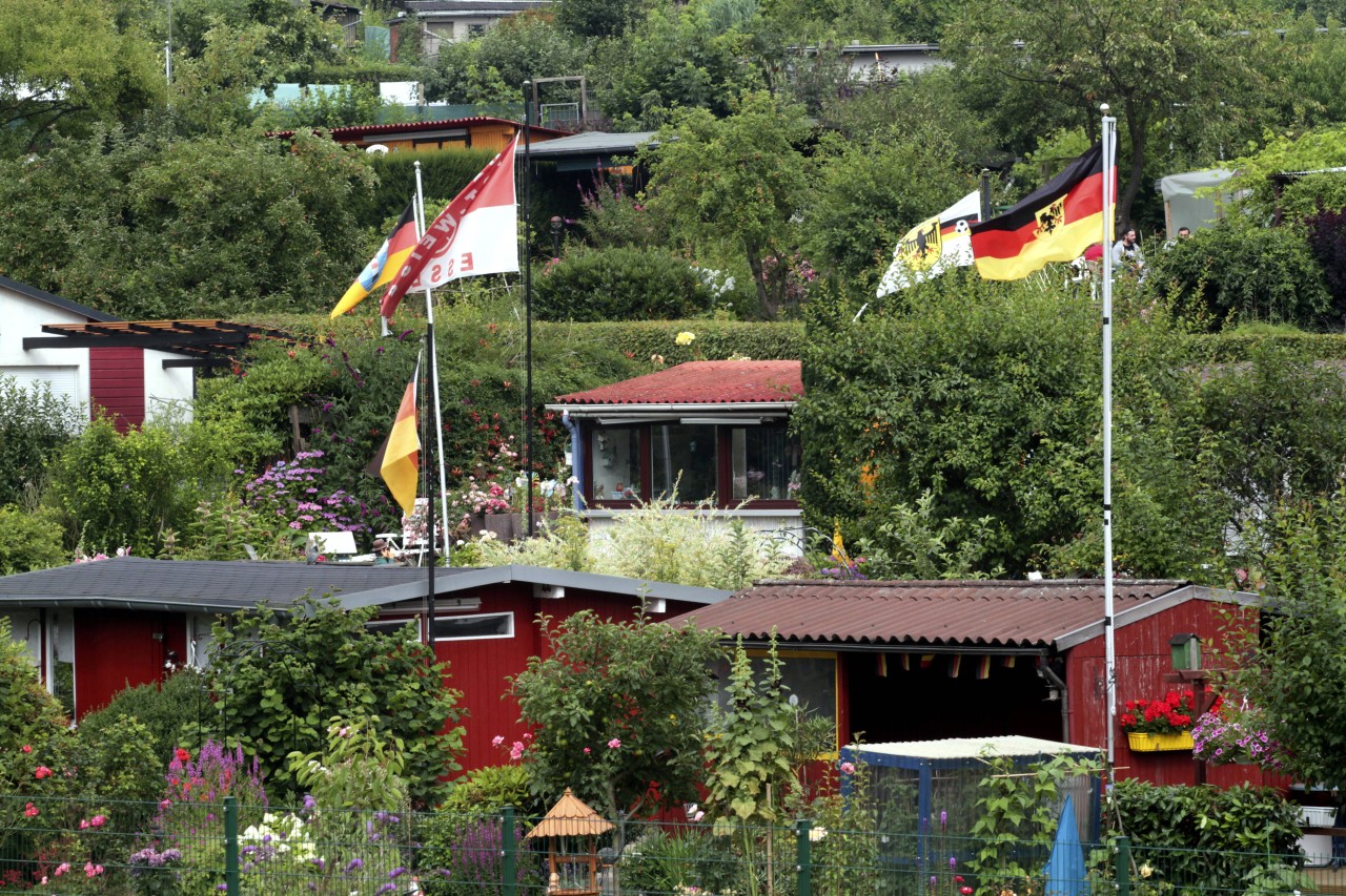 Nicht nur Deutschland-Fahnen, auch jeweilige Lieblingsvereine - wie hier Rot Weiss Essen - werden in Kleingärten oft gehisst. (Symbolbild)