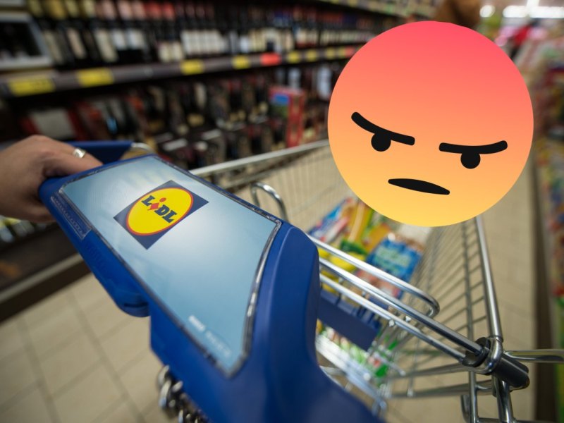 lidl camp david.JPG