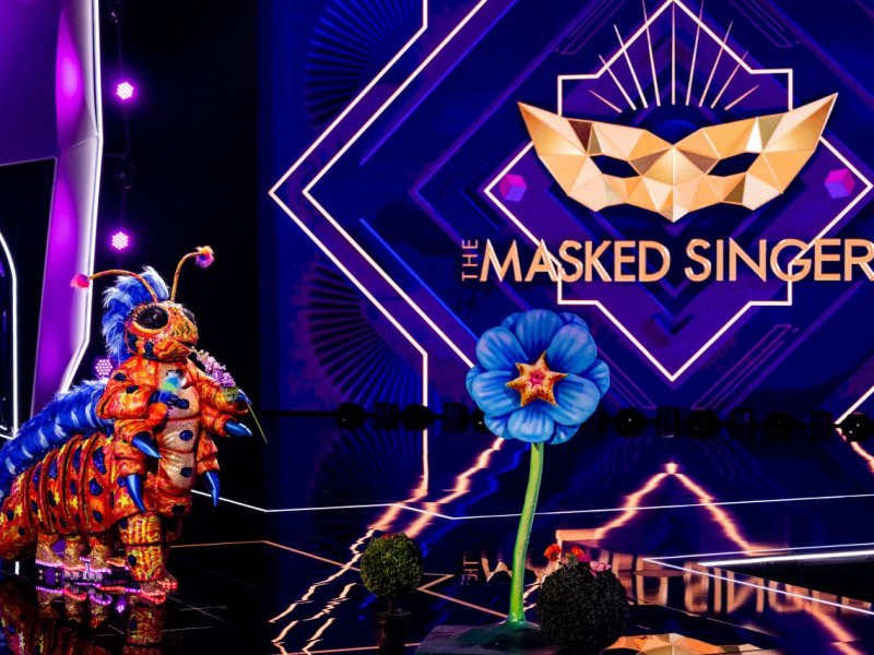 masked singer insider verrät.jpg