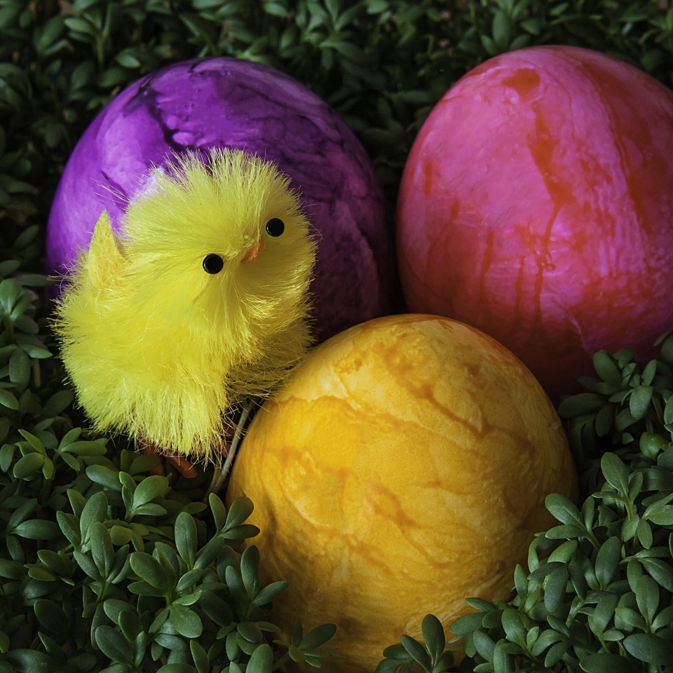 Frohe Ostern!