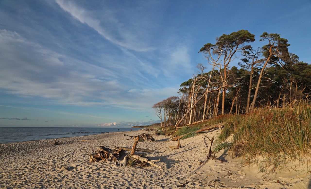 Im Netz wurde ein besonders spektakulärer Fund von der Ostsee-Insel Darß geteilt – doch kurz darauf fehlte von dem Gegenstand jede Spur. (Symbolbild)