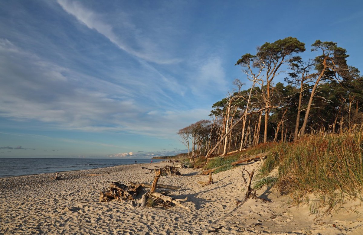 ostsee.jpg