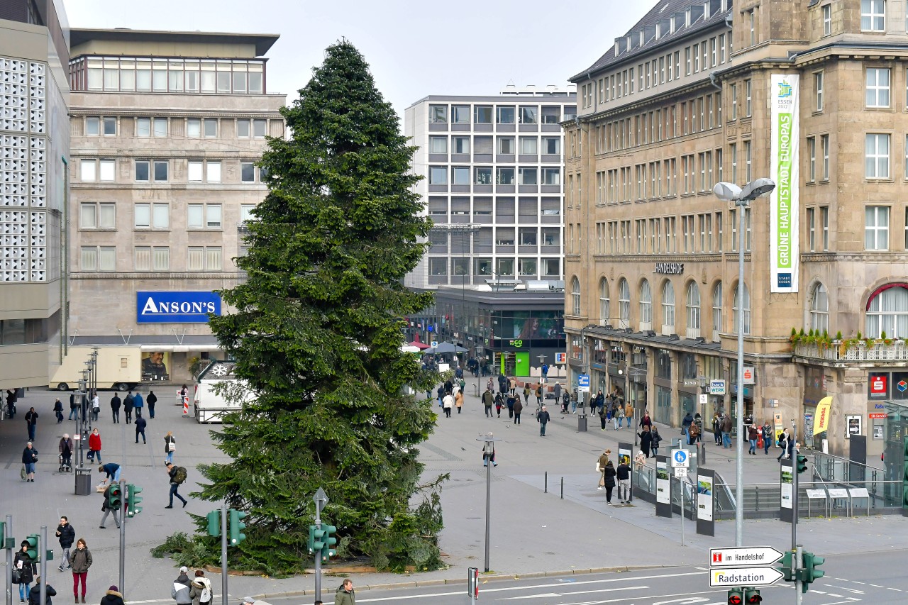 Die Pannen-Tanne auf dem Weihnachtsmarkt Essen 2017: Schief, etwas gerupft, aber echt.