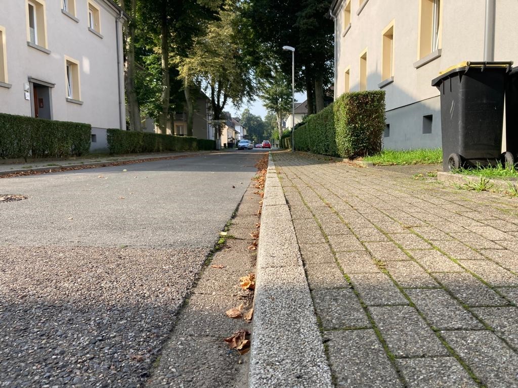 Essen: Am Ende der Thusneldastraße ist das Parken verboten. Ein paar Meter weiter tummeln sich die Autos. 