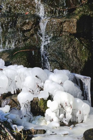 Eisige Temperaturen verwandeln den Bochumer Stadtpark am Montag, 06. Februar 2012, in eine Winterlandschaft. Bei strahlendem Sonnenschein besuchen Spaziergänger und Schlittschuhläufer den Park. Foto: Ingo Otto / WAZ FotoPool