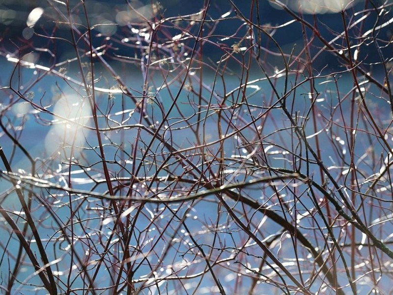 Eisige Temperaturen verwandeln den Bochumer Stadtpark am Montag, 06. Februar 2012, in eine Winterlandschaft. Bei strahlendem Sonnenschein besuchen Spaziergänger und Schlittschuhläufer den Park. Foto: Ingo Otto / WAZ FotoPool