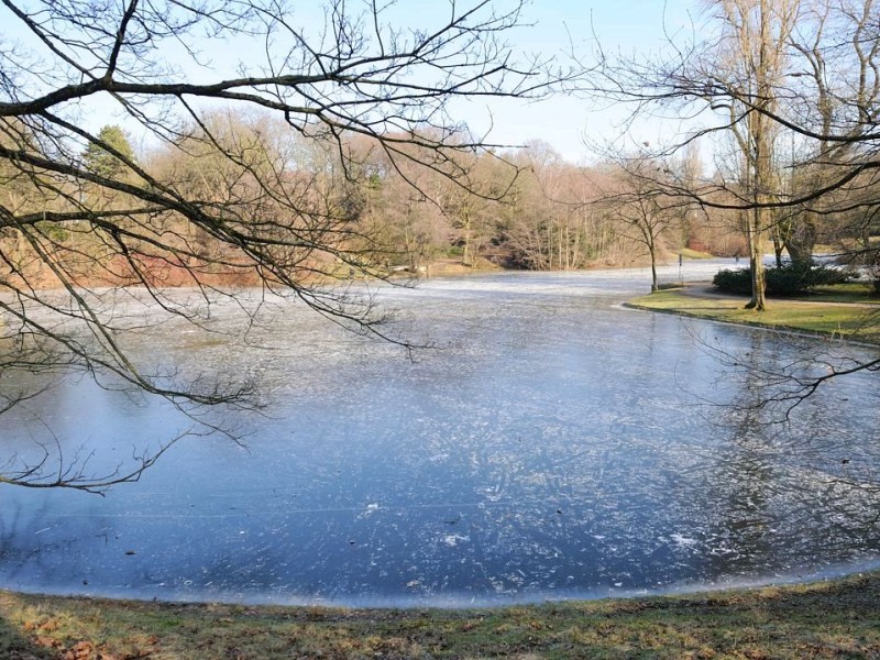 Eisige Temperaturen verwandeln den Bochumer Stadtpark am Montag, 06. Februar 2012, in eine Winterlandschaft. Bei strahlendem Sonnenschein besuchen Spaziergänger und Schlittschuhläufer den Park. Foto: Ingo Otto / WAZ FotoPool