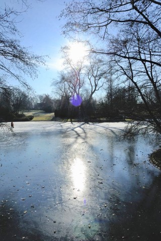 Eisige Temperaturen verwandeln den Bochumer Stadtpark am Montag, 06. Februar 2012, in eine Winterlandschaft. Bei strahlendem Sonnenschein besuchen Spaziergänger und Schlittschuhläufer den Park. Foto: Ingo Otto / WAZ FotoPool