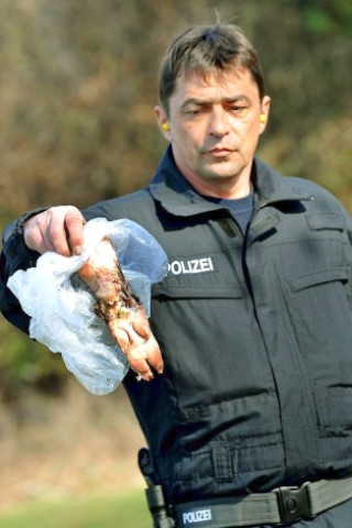 Mit einer Schweinepfote führte die Polizei vor, welchen Schaden Böller anrichten, wenn sie in der Hand detonieren.