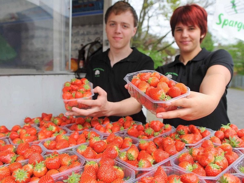 Am Sonntag 29.04.2012 gab es den Blumen- und Bauernmarkt auf dem Rathausparkplatz in Alpen.Im Bild: Spargelhof Schippers aus Veen verkauft Erdbeeren.Foto: Markus Joosten / WAZ FotoPool