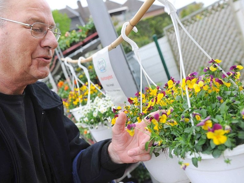 Am Sonntag 29.04.2012 gab es den Blumen- und Bauernmarkt auf dem Rathausparkplatz in Alpen.Im Bild: Josef Kalivoda aus Alpen betrachtet die Blumen.Foto: Markus Joosten / WAZ FotoPool