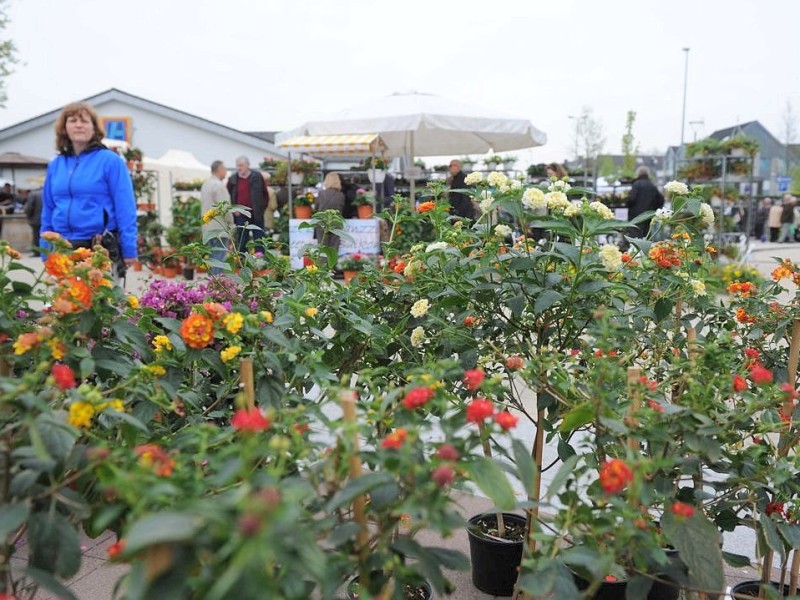 Am Sonntag 29.04.2012 gab es den Blumen- und Bauernmarkt auf dem Rathausparkplatz in Alpen.Foto: Markus Joosten / WAZ FotoPool