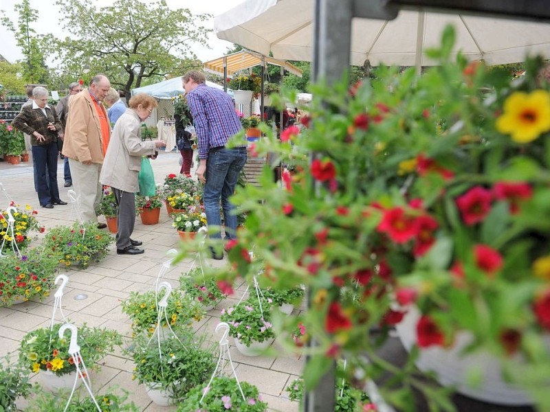 Am Sonntag 29.04.2012 gab es den Blumen- und Bauernmarkt auf dem Rathausparkplatz in Alpen.Foto: Markus Joosten / WAZ FotoPool