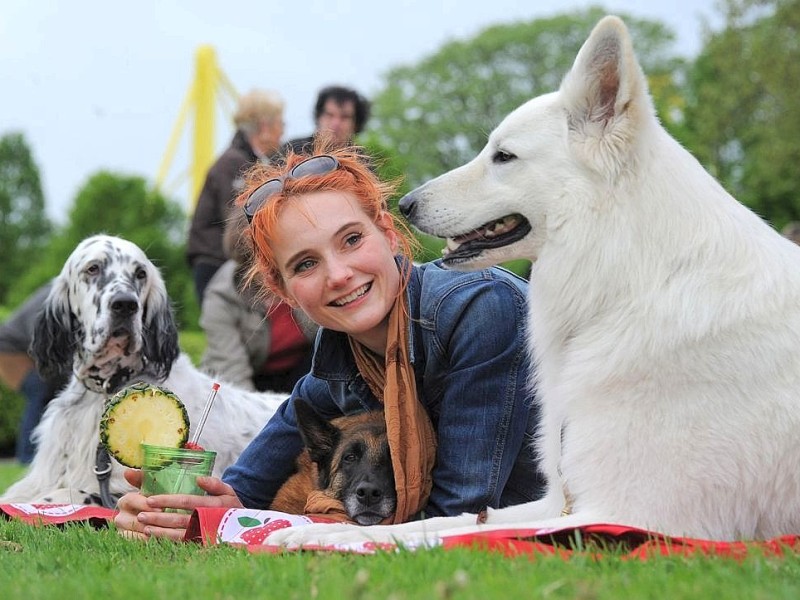 Die Messe Hund und Heimtier wird am Freitag, 11. Mai 2012, eröffnet. Zum Fototermin kam Ramona Teschner mit ihrem weißen Schäferhund "Aron" vor die Westfalenhalle.Foto: Franz Luthe