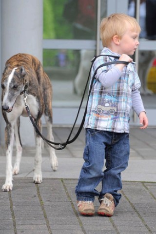 Die Messe Hund und Heimtier wird am Freitag, 11. Mai 2012, eröffnet. Foto: Franz Luthe