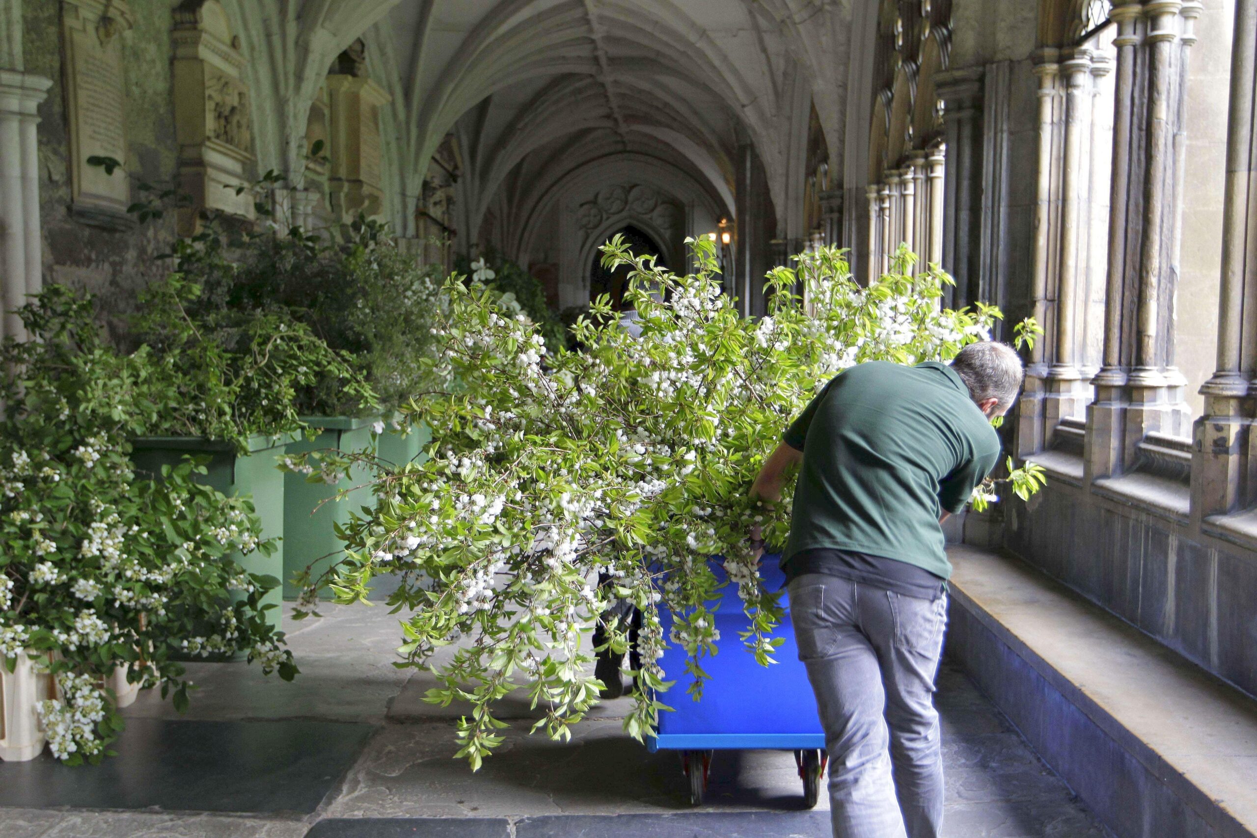 In Westminister Abbey, wo die Trauung stattfindet, ...