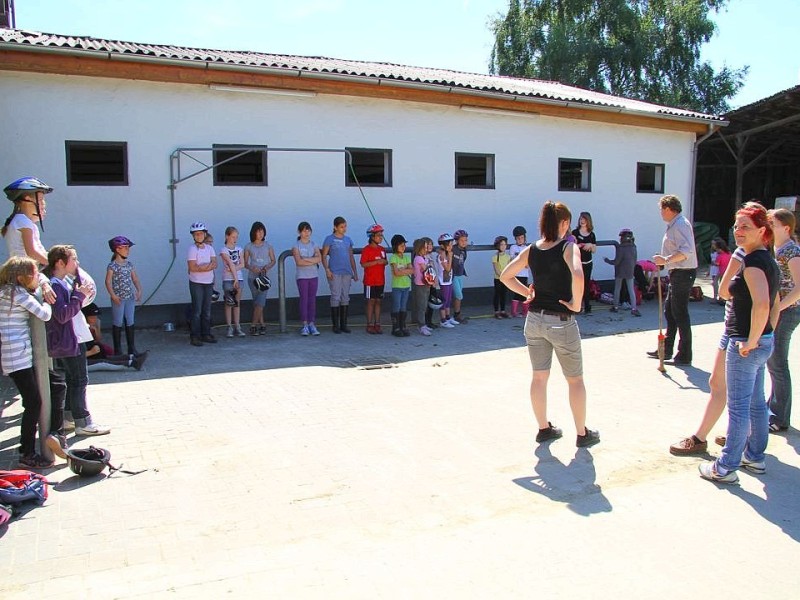 Der Freienspass auf dem Reiterhof Reiterzentrum Worch am Montag 23. Juli 2012 in Hattingen.Die 32 Kinder imm Alter zwischen 8-10 Jahren lernen spielerisch mit dem Tier Pferd umzugehen.Satteln,Säubern und reiten gehört dazu.Auch der Reitunterricht findetr statt. Foto: Claudia Schütte / WAZ FotoPool