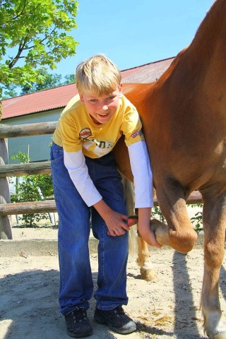 Der Freienspass auf dem Reiterhof Reiterzentrum Worch am Montag 23. Juli 2012 in Hattingen.Die 32 Kinder imm Alter zwischen 8-10 Jahren lernen spielerisch mit dem Tier Pferd umzugehen.Satteln,Säubern und reiten gehört dazu.Auch der Reitunterricht findetr statt.i.Bild Fabian (12) säubert die Hufe eines Ponys.  Foto: Claudia Schütte / WAZ FotoPool