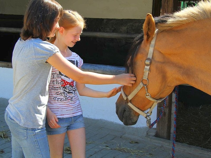 Der Freienspass auf dem Reiterhof Reiterzentrum Worch am Montag 23. Juli 2012 in Hattingen.Die 32 Kinder imm Alter zwischen 8-10 Jahren lernen spielerisch mit dem Tier Pferd umzugehen.Satteln,Säubern und reiten gehört dazu.Auch der Reitunterricht findetr statt.i.Bild Sarah (11) und Cindy (11) streicheln das Pony liebevoll. Foto: Claudia Schütte / WAZ FotoPool