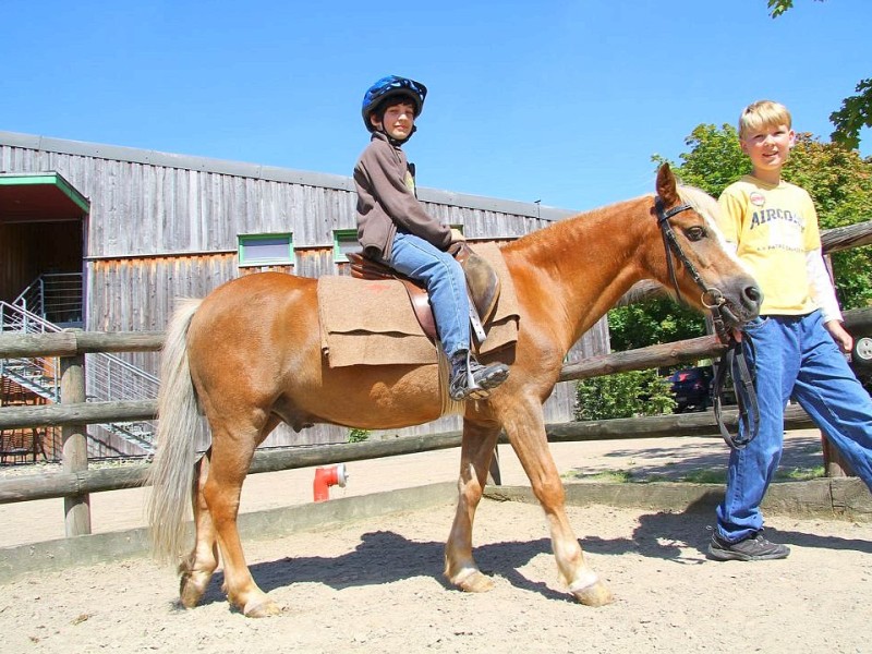 Der Freienspass auf dem Reiterhof Reiterzentrum Worch am Montag 23. Juli 2012 in Hattingen.Die 32 Kinder imm Alter zwischen 8-10 Jahren lernen spielerisch mit dem Tier Pferd umzugehen.Satteln,säubern und reiten gehört dazu.Auch der Reitunterricht findetr statt.i. Bild re. Fabian (12) ,Kristof (10) und Foto: Claudia Schütte / WAZ FotoPool