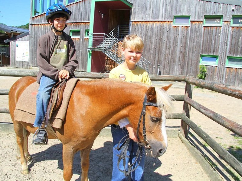 Der Freienspass auf dem Reiterhof Reiterzentrum Worch am Montag 23. Juli 2012 in Hattingen.Die 32 Kinder imm Alter zwischen 8-10 Jahren lernen spielerisch mit dem Tier Pferd umzugehen.Satteln,säubern und reiten gehört dazu.Auch der Reitunterricht findetr statt.i. Bild re. Fabian (12) ,Kristof (10) und Foto: Claudia Schütte / WAZ FotoPool