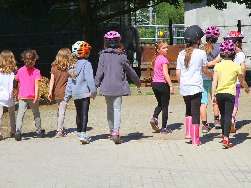 Der Freienspass auf dem Reiterhof Reiterzentrum Worch am Montag 23. Juli 2012 in Hattingen.Die 32 Kinder imm Alter zwischen 8-10 Jahren lernen spielerisch mit dem Tier Pferd umzugehen.Satteln,säubern und reiten gehört dazu.Auch der Reitunterricht findetr statt. Foto: Claudia Schütte / WAZ FotoPool