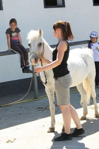 Der Freienspass auf dem Reiterhof Reiterzentrum Worch am Montag 23. Juli 2012 in Hattingen.Die 32 Kinder imm Alter zwischen 8-10 Jahren lernen spielerisch mit dem Tier Pferd umzugehen.Satteln,Säubern und reiten gehört dazu.Auch der Reitunterricht findetr statt. Foto: Claudia Schütte / WAZ FotoPool