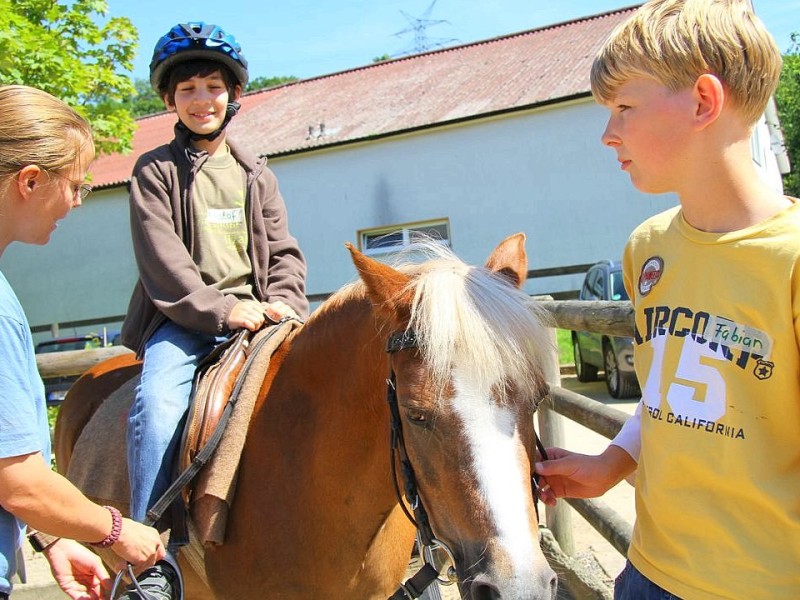 Der Freienspass auf dem Reiterhof Reiterzentrum Worch am Montag 23. Juli 2012 in Hattingen.Die 32 Kinder imm Alter zwischen 8-10 Jahren lernen spielerisch mit dem Tier Pferd umzugehen.Satteln,Säubern und reiten gehört dazu.Auch der Reitunterricht findetr statt.i. Bild re. Fabian (12) ,Kristof (10) und Foto: Claudia Schütte / WAZ FotoPool