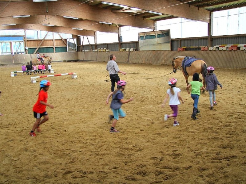 Der Freienspass auf dem Reiterhof Reiterzentrum Worch am Montag 23. Juli 2012 in Hattingen.Die 32 Kinder imm Alter zwischen 8-10 Jahren lernen spielerisch mit dem Tier Pferd umzugehen.Satteln,Säubern und reiten gehört dazu.Auch der Reitunterricht findetr statt. Foto: Claudia Schütte / WAZ FotoPool