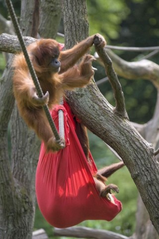 Kinder bastelten bunte Tüten für die Menschenaffen im Dortmunder Zoo.