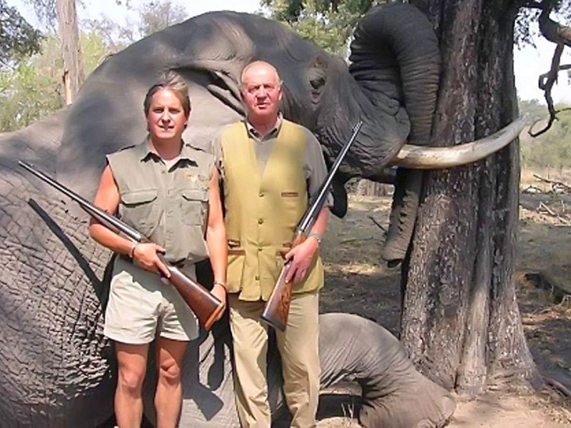 Der Monarch hatte sich während einer Elefantenjagd (Foto) in Botsuana die Hüfte gebrochen. Pikant: Dabei war er in Begleitung seiner deutschen Geliebten.