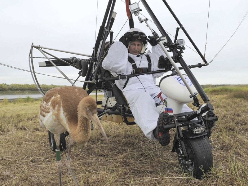 Der russische Präsident Wladimir Putin ist ein Meister der Selbstinszenierung. Jetzt hat er sich als Vogelschützer präsentiert und ...